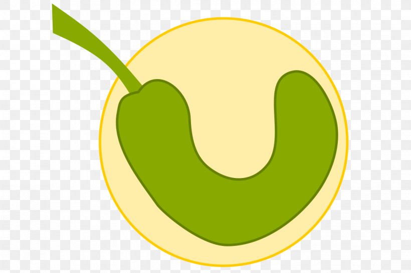 Fruit Clip Art, PNG, 1134x756px, Fruit, Food, Grass, Green, Symbol Download Free