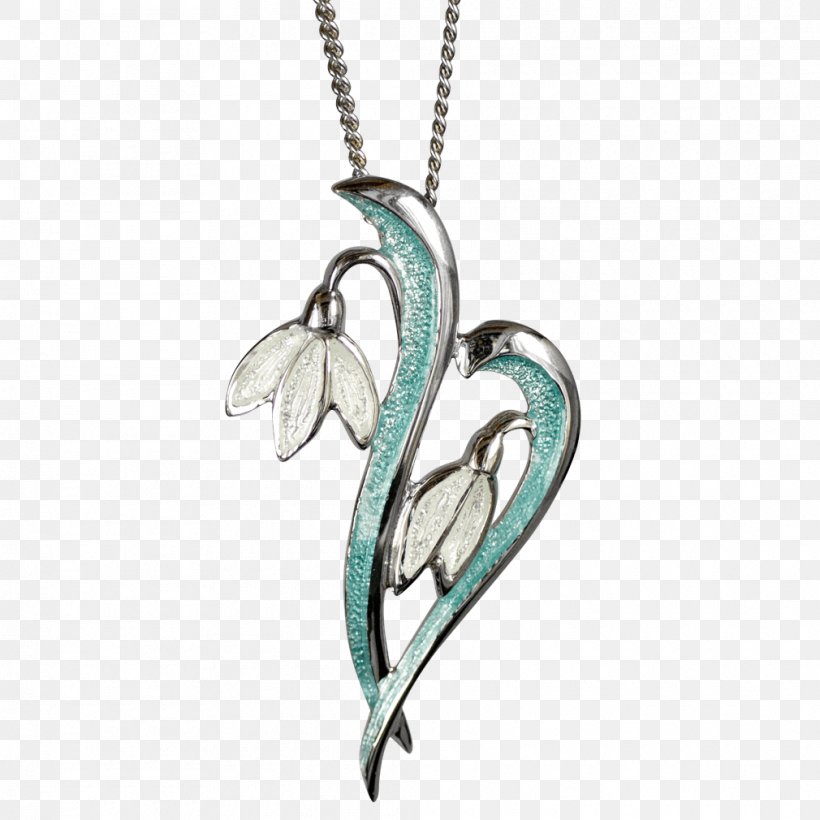 Locket Bird Necklace Jewellery Turquoise, PNG, 1010x1010px, Locket, Bird, Body Jewellery, Body Jewelry, Fashion Accessory Download Free