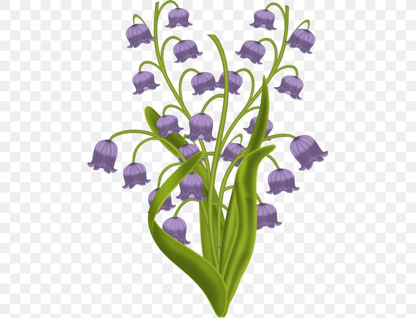 Lily Of The Valley Plant Stem Cut Flowers Violet May, PNG, 475x628px, 2017, Lily Of The Valley, Bellflower Family, Cut Flowers, Flower Download Free