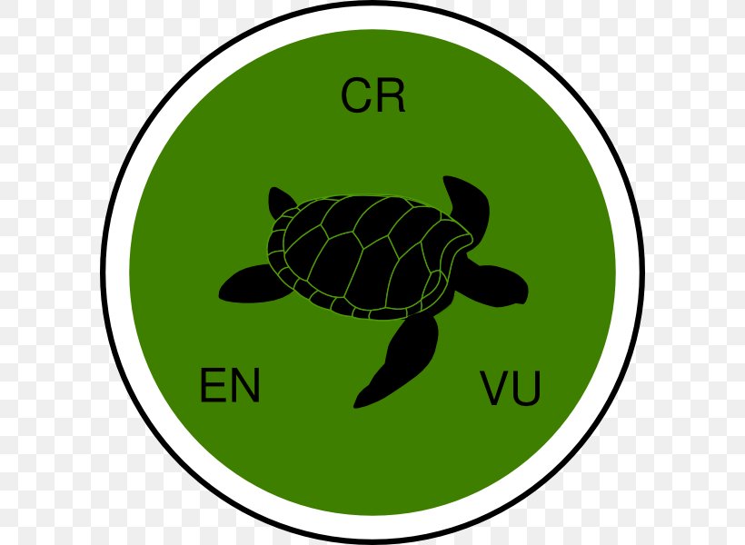 Sea Turtle Clip Art Silhouette Vector Graphics, PNG, 600x600px, Turtle, Animal, Animal Track, Aquatic Animal, Grass Download Free