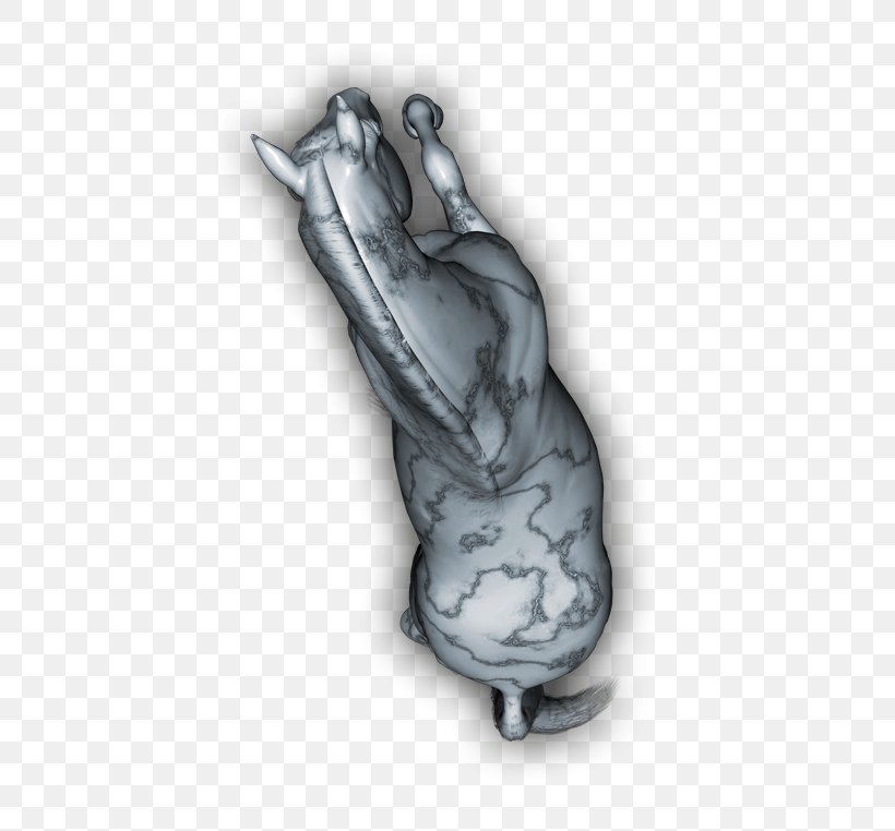 Finger Organism, PNG, 523x762px, Finger, Arm, Hand, Joint, Organism Download Free