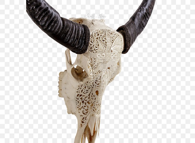 Horn Animal Skulls Cattle Bone, PNG, 600x600px, Horn, American Bison, Animal, Animal Skulls, Balinese People Download Free