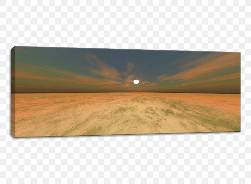 Landscape Ecoregion Prairie Rectangle Sky Plc, PNG, 800x601px, Landscape, Ecoregion, Field, Grass, Meadow Download Free