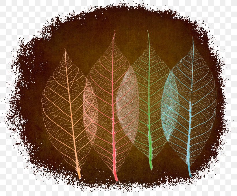 Leaf, PNG, 817x677px, Leaf, Art, Brown, Feather, Logo Download Free