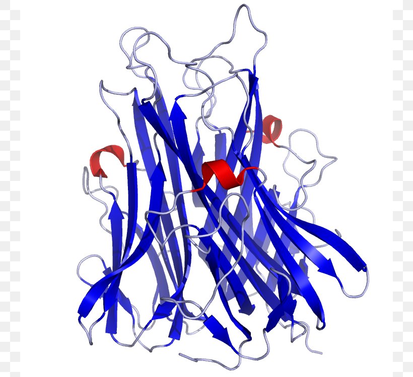 Tumor Necrosis Factor Alpha Tumor Necrosis Factor Superfamily Cytokine TNF Receptor Superfamily, PNG, 740x750px, Watercolor, Cartoon, Flower, Frame, Heart Download Free