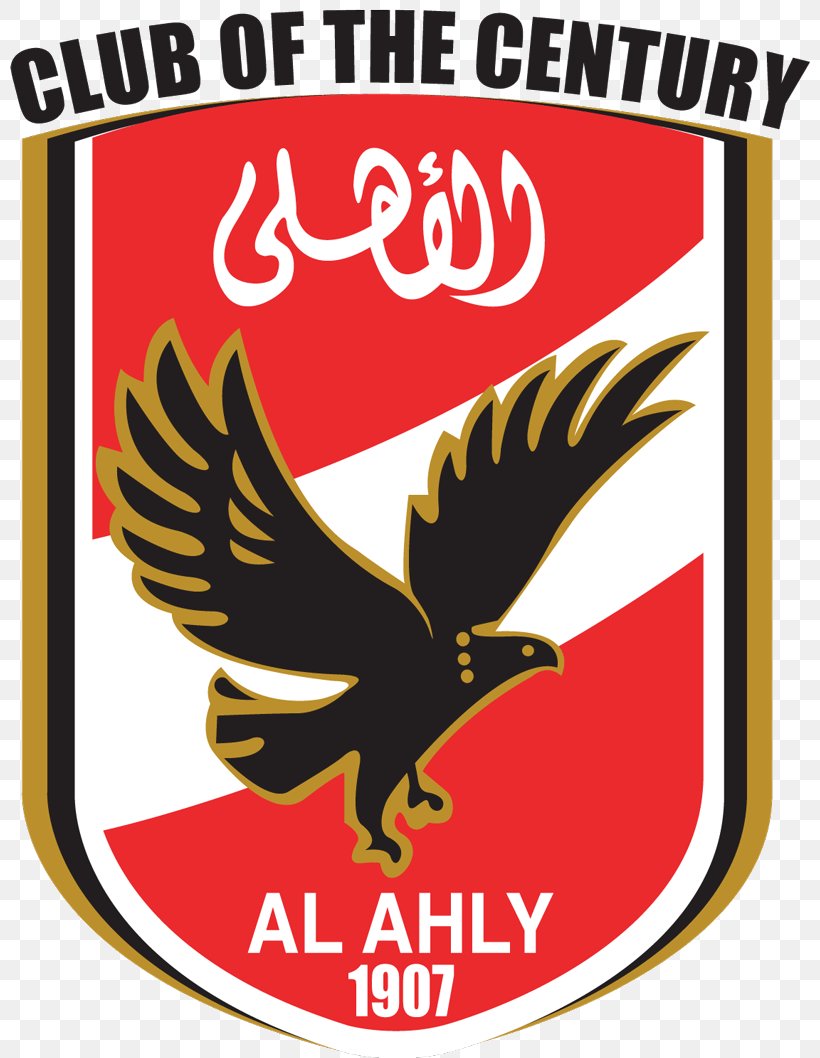 Al Ahly SC Zamalek SC Egypt National Football Team Cairo, PNG, 800x1058px, Al Ahly Sc, Area, Artwork, Beak, Bird Download Free