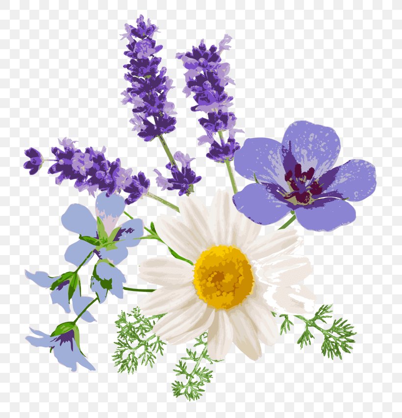 English Lavender Floral Design Chamomile French Lavender Flower, PNG, 800x852px, English Lavender, Chamomile, Cut Flowers, Floral Design, Floristry Download Free