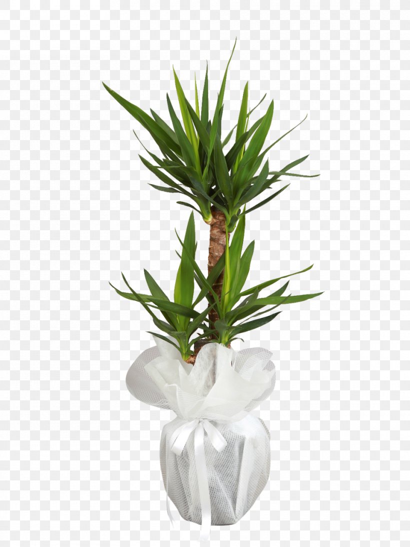 ıhlamur çiçekçilik Flowerpot Floristry Ornamental Plant, PNG, 960x1280px, Flower, Bonsai, Ceramic, Cut Flowers, Dracaena Download Free