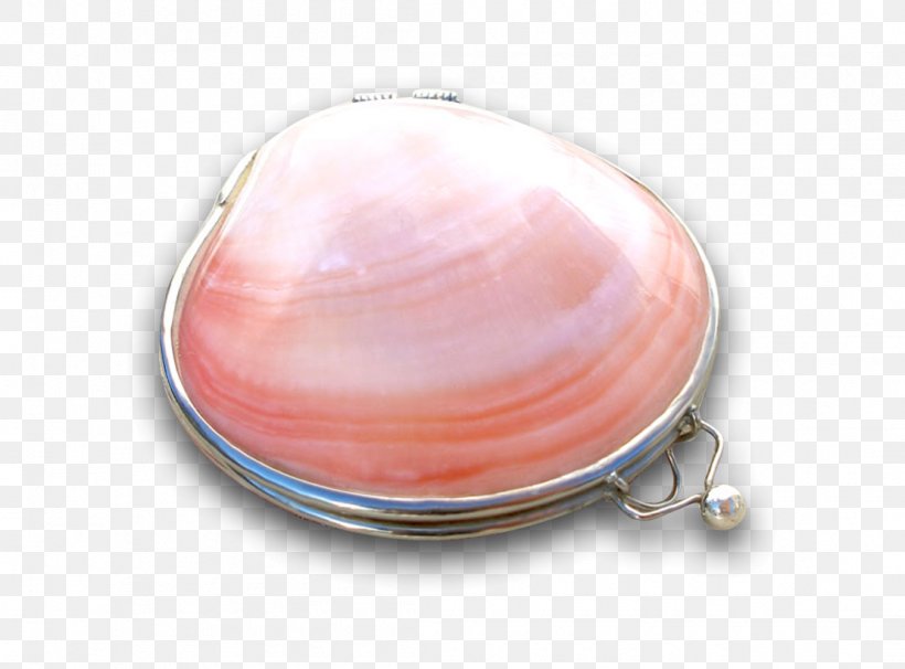 Lip Balm Jewellery Seashell Beach, PNG, 1110x821px, Lip Balm, Beach, Clothing Accessories, Color, Fashion Download Free