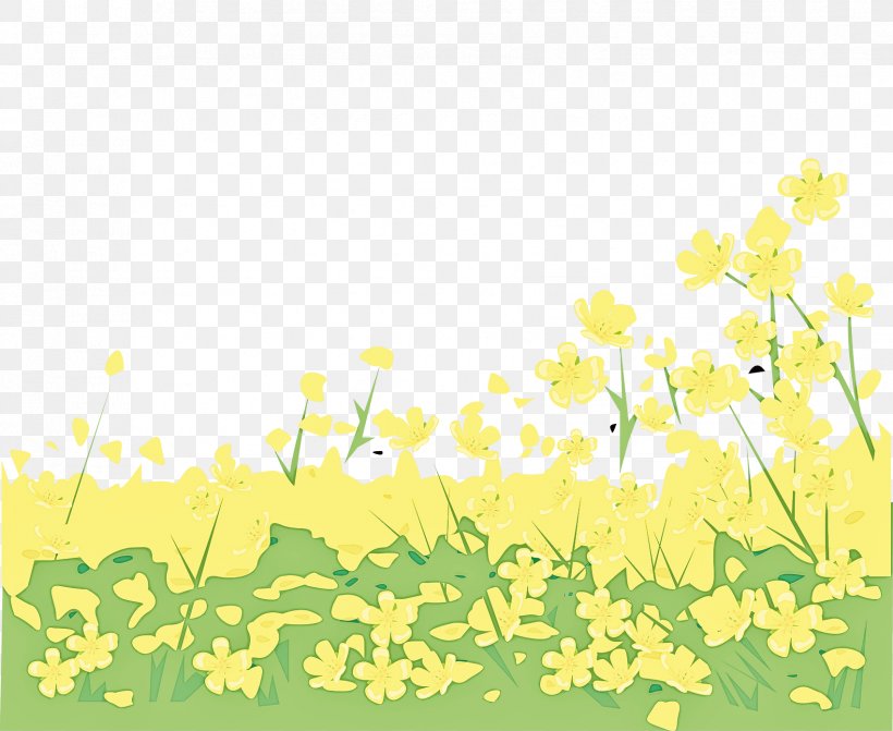Yellow Plant Flower Spring Wildflower, PNG, 1701x1392px, Yellow, Branch, Canola, Flower, Grass Download Free