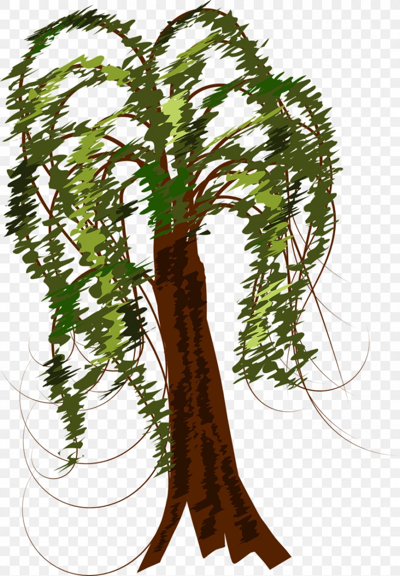 Branch Tree Clip Art, PNG, 888x1280px, Branch, Flowerpot, Fruit Tree, Houseplant, Pine Download Free
