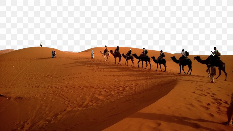 Camel Train Desktop Wallpaper Caravan Desert Image, PNG, 2520x1419px, 4k Resolution, Camel Train, Aeolian Landform, Arabian Camel, Bactrian Camel Download Free