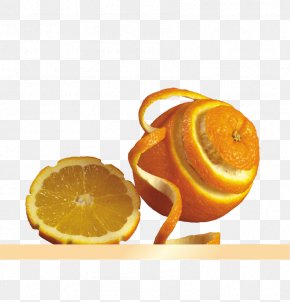Orange - Clementine Mandarin Orange Bitter Orange Citrus Ã— Sinensis PNG
