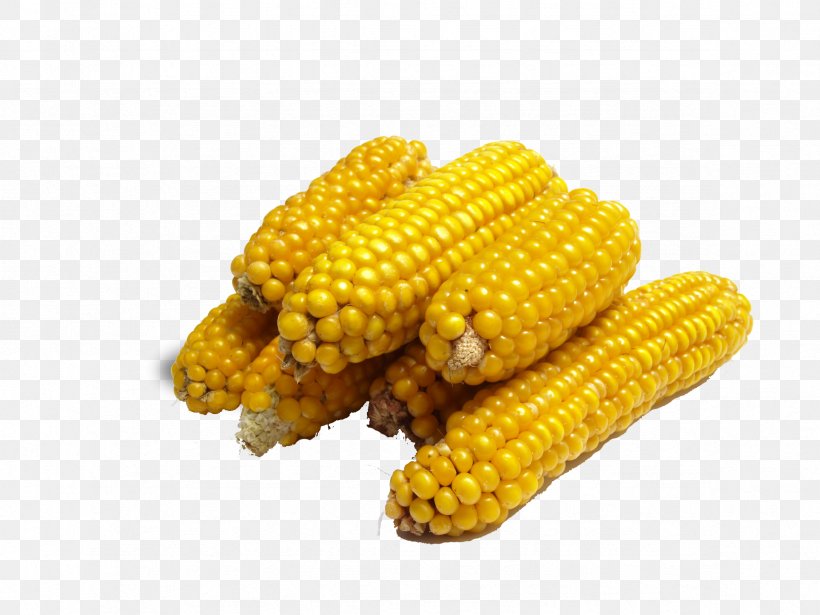 Corn On The Cob Maize Genetic Engineering Genetically Modified Food Caryopsis, PNG, 2362x1772px, Corn On The Cob, Byproduct, Caryopsis, Commodity, Corn Kernel Download Free