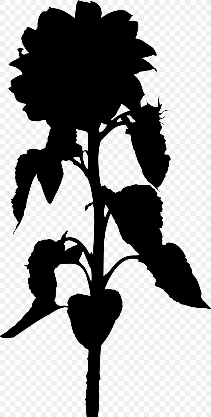 Flower Plant Stem Leaf Clip Art Silhouette, PNG, 976x1930px, Flower, Blackandwhite, Botany, Branching, Flowering Plant Download Free