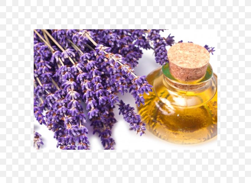 Lavender Oil Essential Oil Foot Odor, PNG, 600x600px, Lavender Oil, Antiseptic, Aroma Compound, Aromatherapy, Carrier Oil Download Free