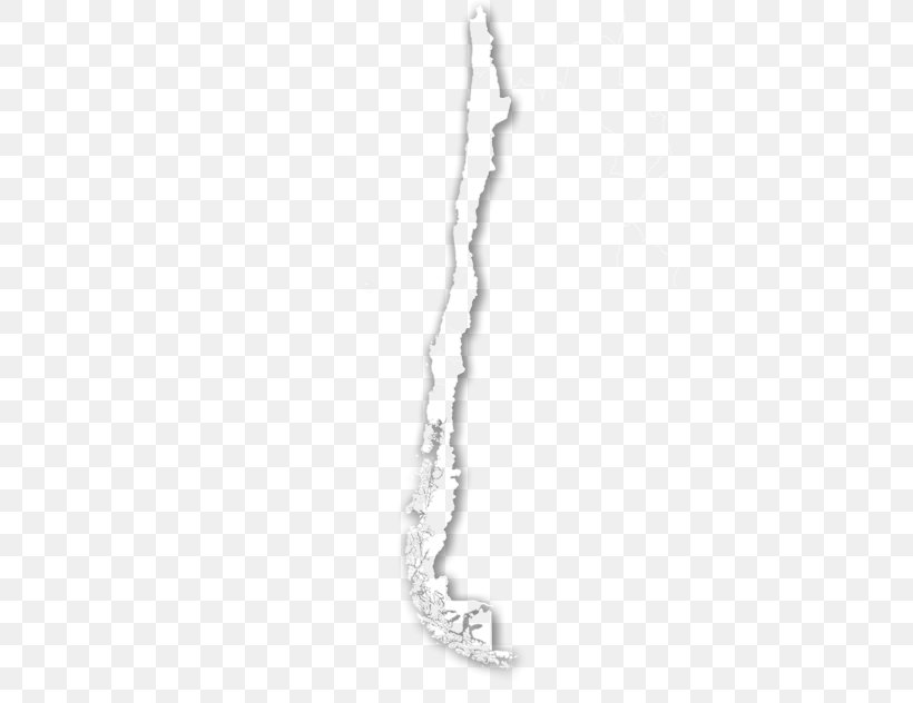 Necklace Charms & Pendants Body Jewellery, PNG, 410x632px, Necklace, Black And White, Body Jewellery, Body Jewelry, Chain Download Free