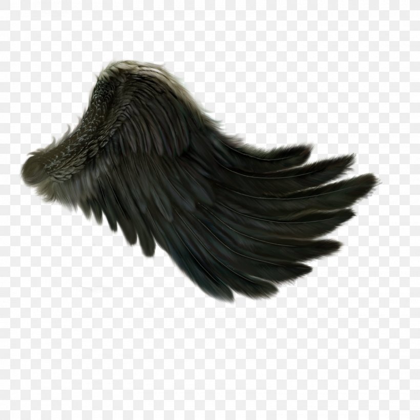 Angel Wing, PNG, 1600x1600px, Wing, Angel Wing, Beak, Black, Deviantart Download Free
