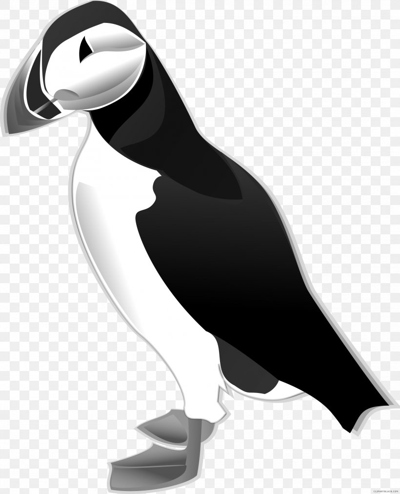 Bird Atlantic Puffin Clip Art Vector Graphics Free Content, PNG, 2024x2500px, Bird, Atlantic Puffin, Auk, Beak, Black And White Download Free