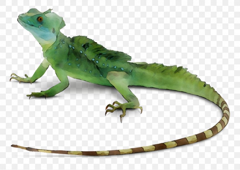 Common Iguanas Lizard Reptile Snakes Skink, PNG, 1152x817px, Common Iguanas, Action Figure, Animal, Animal Figure, Dragon Lizard Download Free