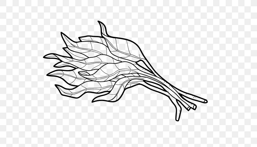 Drawing Water Spinach Sketch, PNG, 600x470px, Drawing, Artwork, Black And White, Branch, Hand Download Free
