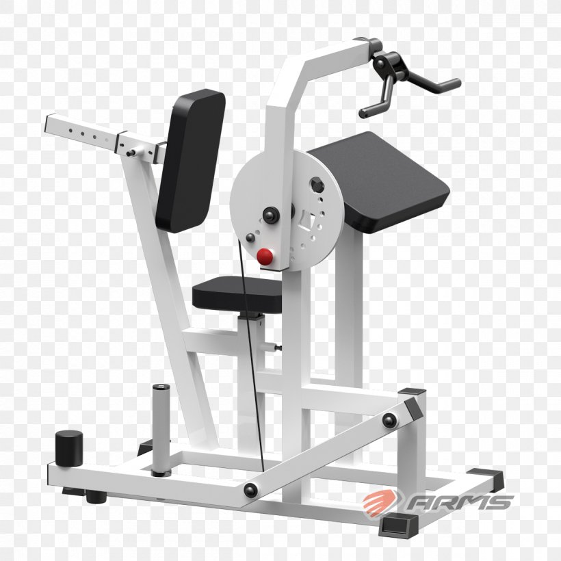 Exercise Machine Squat Fitness Centre Bench Press Yaguar-Sport, PNG, 1200x1200px, Exercise Machine, Artikel, Bench, Bench Press, Biceps Download Free