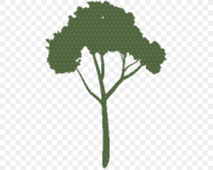 Tree Cartoon, PNG, 485x656px, Tree, Flower, Heracleum Plant, Herb, Leaf Download Free