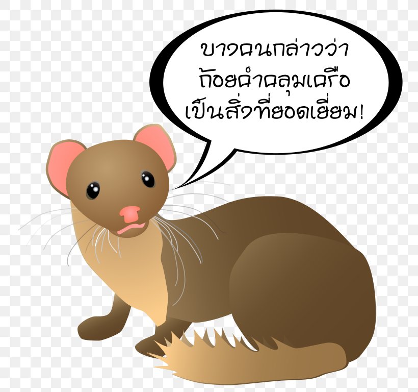 Weasels Weasel Word Mouse Phrase, PNG, 768x768px, Weasels, Carnivoran, Cat Like Mammal, Common Opossum, Fauna Download Free