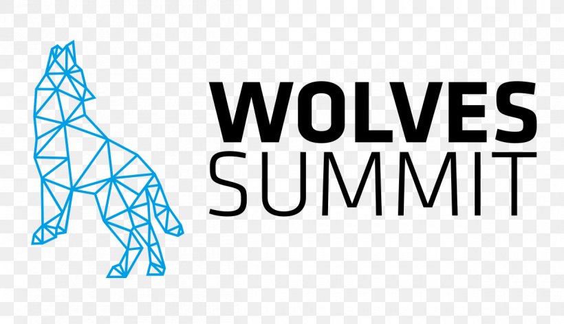 Wolves Summit Web Summit Startup Company Innovation Technology, PNG, 1200x691px, Wolves Summit, Area, Blue, Brand, Business Download Free