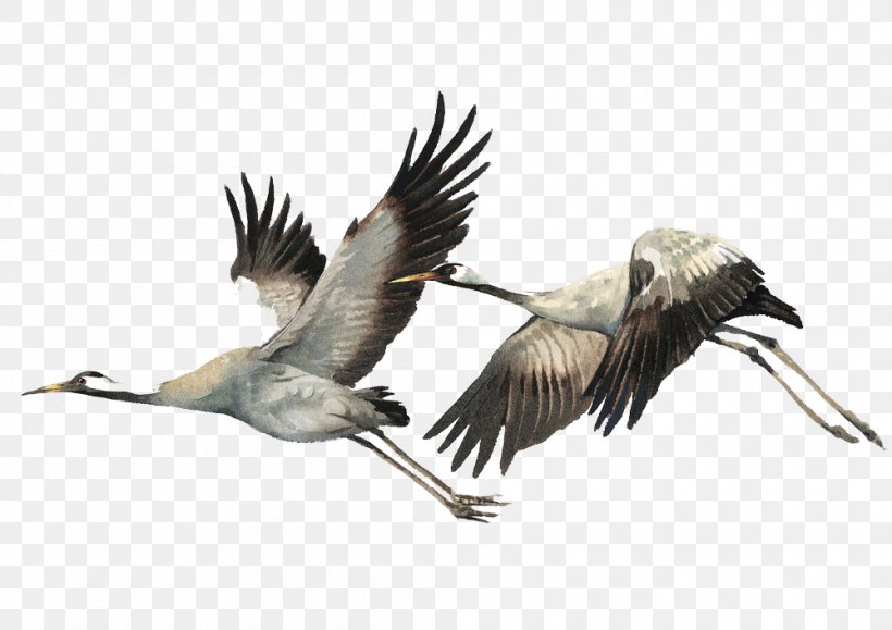 Bird Watercolor Painting Illustration, PNG, 1000x707px, Bird, Art, Beak, Crane, Crane Like Bird Download Free