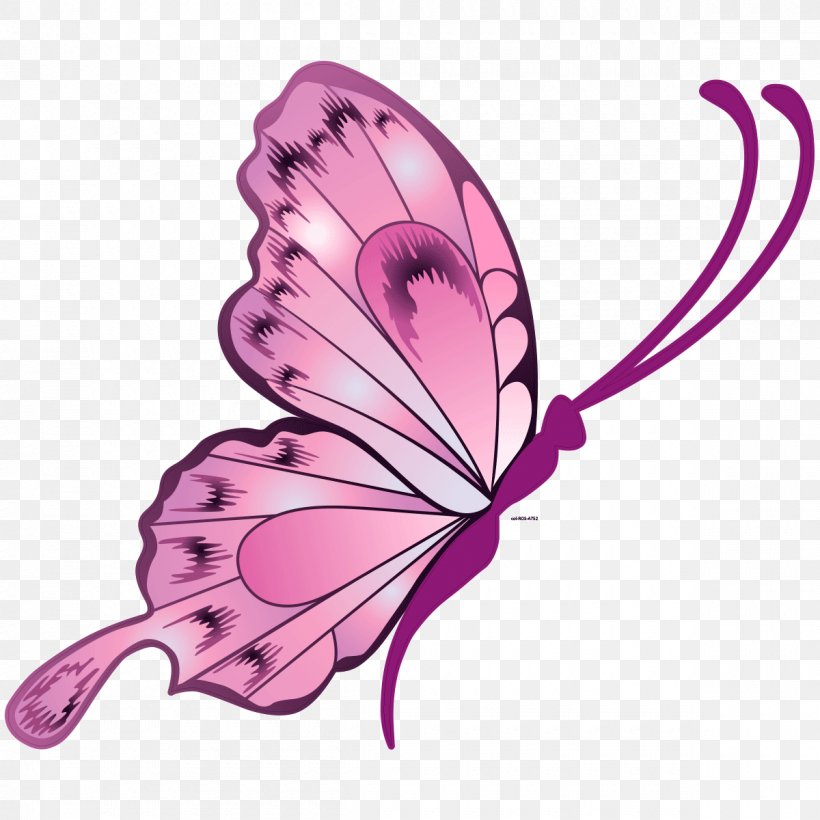 Butterfly Drawing Vector Graphics Sticker Illustration, PNG, 1200x1200px, Butterfly, Drawing, Feather, Insect, Lepidoptera Download Free