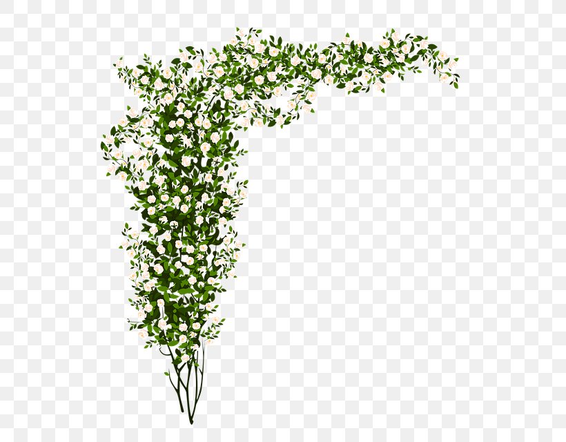 Clip Art Shrub Image Illustration, PNG, 571x640px, Shrub, Branch, Drawing, Flora, Flower Download Free