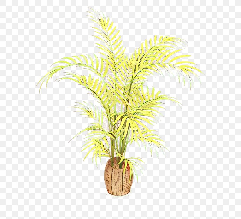 Date Palm Flowerpot Houseplant Oil Palms Palm Trees, PNG, 650x747px, Date Palm, Aquarium Decor, Arecales, Elaeis, Flower Download Free