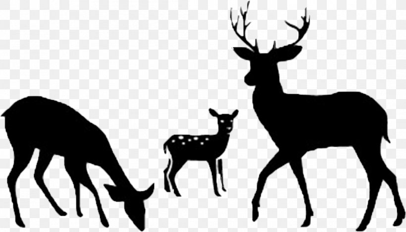 Deer Clip Art Silhouette Vector Graphics, PNG, 1096x626px, Deer, Antelope, Antler, Blackandwhite, Drawing Download Free