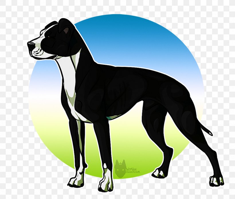Italian Greyhound Spanish Greyhound Whippet Sloughi, PNG, 970x823px, Greyhound, Breed, Carnivoran, Dog, Dog Breed Download Free