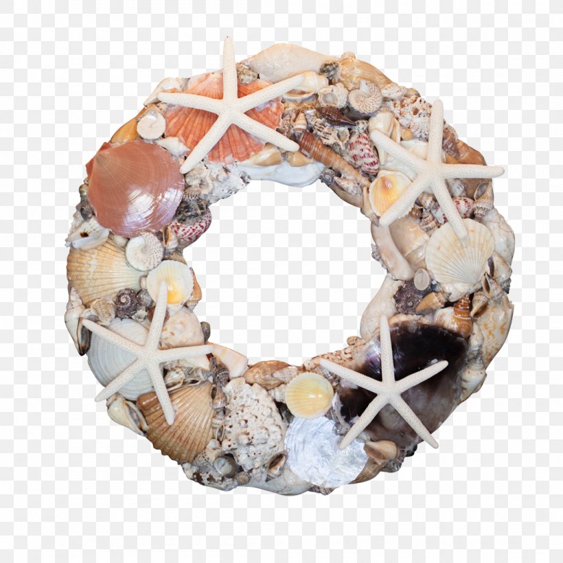 Seashell Wreath Clam Starfish Christmas, PNG, 1100x1100px, Seashell, Abalone, Beach, Christmas, Christmas Ornament Download Free