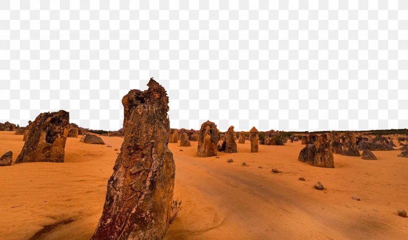 The Pinnacles Mojave Desert Thar Desert Deserts Of Australia Nambung National Park, PNG, 1555x915px, Pinnacles, Aeolian Landform, Camel, Desert, Deserts Of Australia Download Free