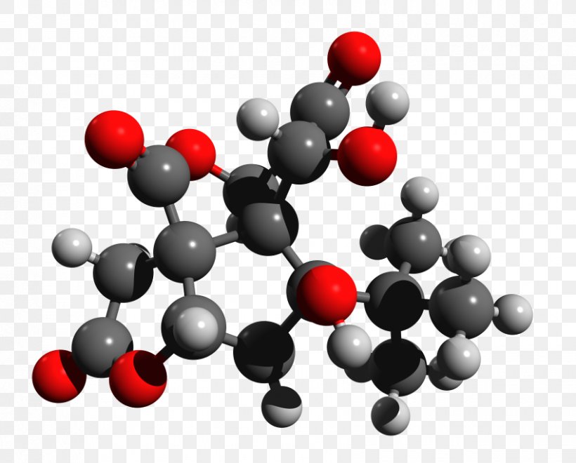 Bilobalide Ginkgolide Terpene Ginkgo Biloba Mevalonic Acid, PNG, 850x685px, Bilobalide, Biological Activity, Biosynthesis, Chemistry, Geranylgeranyl Pyrophosphate Download Free