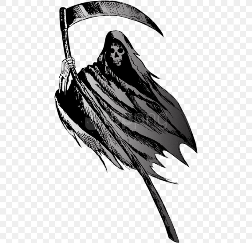 Bird Drawing, PNG, 469x793px, Death, Blackandwhite, Cartoon, Crowlike Bird, Drawing Download Free