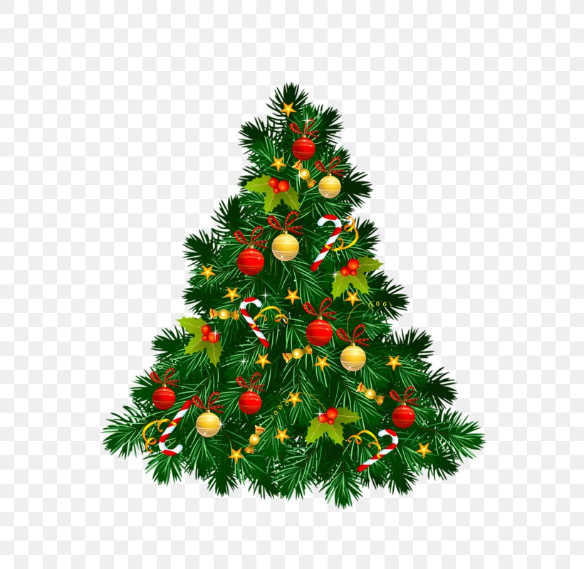 Christmas Tree Clip Art, PNG, 560x800px, Christmas Tree, Artificial Christmas Tree, Balsam Hill, Christmas, Christmas Decoration Download Free