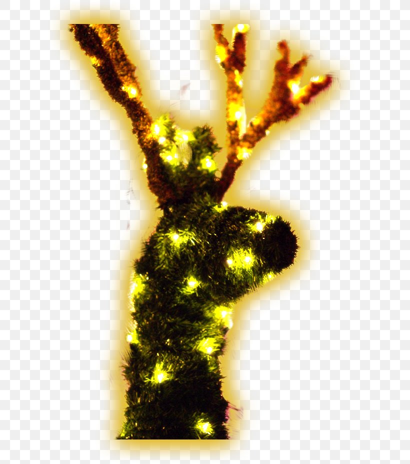 Deer Elk Christmas Decoration, PNG, 653x928px, Deer, Christmas, Christmas Decoration, Christmas Lights, Christmas Ornament Download Free