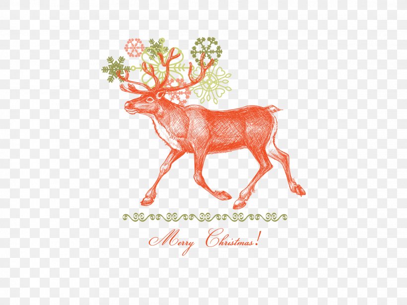 Elk Reindeer Christmas, PNG, 2222x1667px, Elk, Antler, Christmas, Christmas Card, Christmas Ornament Download Free