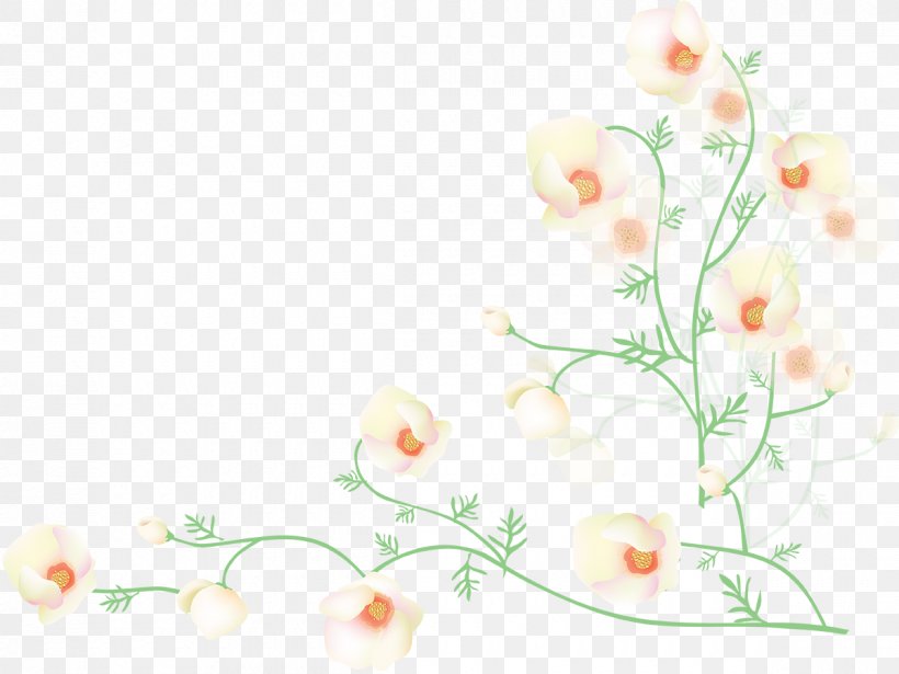Flower Poppy Desktop Wallpaper, PNG, 1200x900px, Flower, Blossom, Branch, Cut Flowers, Edge Download Free