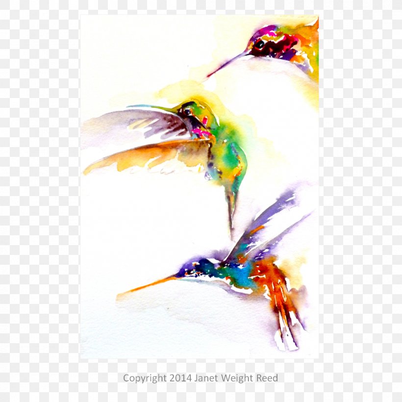 Hummingbird Weight Watercolor Painting Beak, PNG, 1052x1052px, Hummingbird, Art, Artist, Beak, Bird Download Free