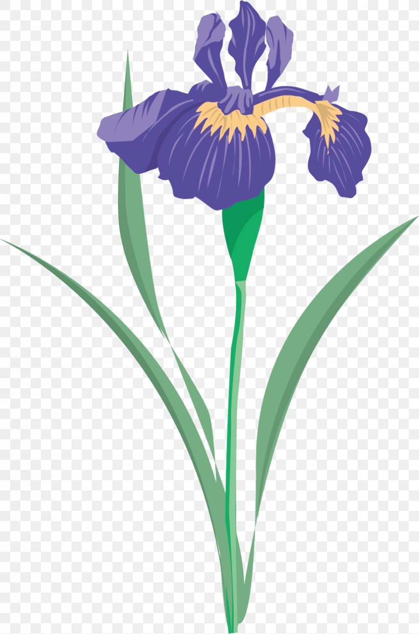 Iris Versicolor Iris Flower Data Set Clip Art, PNG, 827x1252px, Iris Versicolor, Art, Cut Flowers, Flora, Floral Design Download Free
