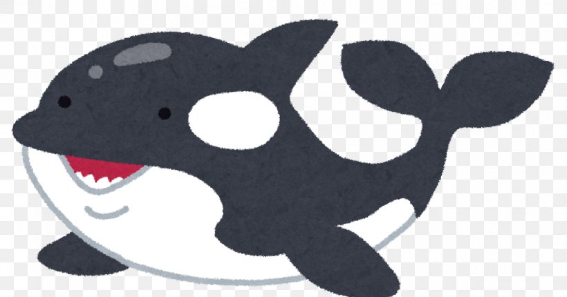 Killer Whale タヌキとキツネ Marine Mammal Earless Seal, PNG, 1041x547px, Killer Whale, Algorithmic Trading, Animal, Animal Figure, Carnivoran Download Free