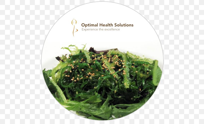 Leaf Vegetable Seaweed Food Herb, PNG, 500x500px, Leaf Vegetable, Blog, Eating, Food, Grass Download Free