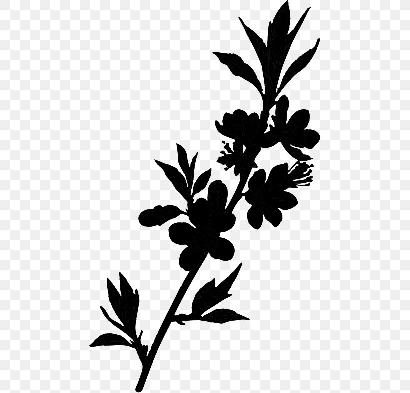 Twig Plant Stem Leaf Silhouette Flowering Plant, PNG, 462x786px, Twig, Blackandwhite, Botany, Branch, Flower Download Free