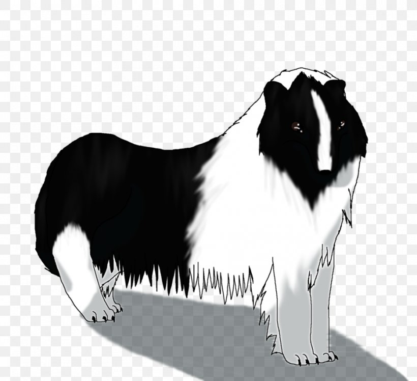 Dog Breed Border Collie Rough Collie Snout, PNG, 936x854px, Dog Breed, Black, Black And White, Border Collie, Breed Download Free