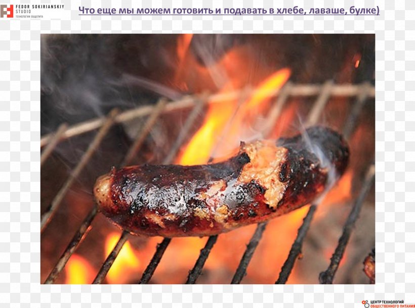 How To Grill: The Complete Illustrated Book Of Barbecue Technique Hot Dog Grilling Sausage, PNG, 1450x1080px, Barbecue, Animal Source Foods, Charcoal, Charcoal Lighter Fluid, Churrasco Food Download Free